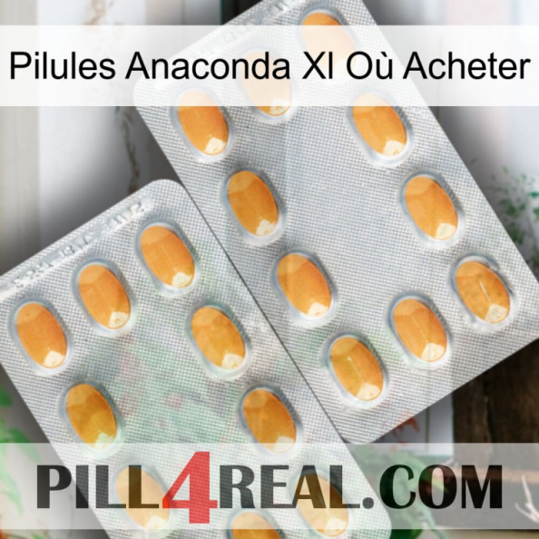 Pilules Anaconda Xl Où Acheter cialis4.jpg